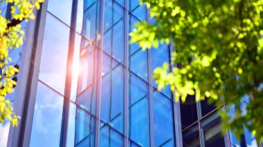 Modern ticari binanın güneş ışığıyla yansıması. Çevre mimarisi. Yeşil ağaç ve cam ofis binası. Doğanın ve modernliğin ahengi. 