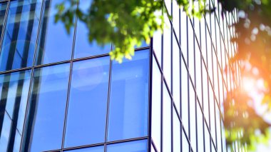 Modern ticari binanın güneş ışığıyla yansıması. Çevre mimarisi. Yeşil ağaç ve cam ofis binası. Doğanın ve modernliğin ahengi. 