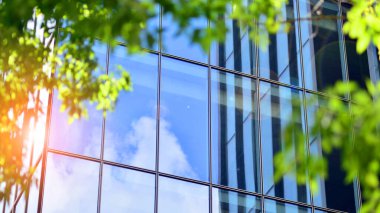 Modern ticari binanın güneş ışığıyla yansıması. Çevre mimarisi. Yeşil ağaç ve cam ofis binası. Doğanın ve modernliğin ahengi. 