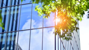 Modern ticari binanın güneş ışığıyla yansıması. Çevre mimarisi. Yeşil ağaç ve cam ofis binası. Doğanın ve modernliğin ahengi. 