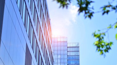 Modern ticari binanın güneş ışığıyla yansıması. Çevre mimarisi. Yeşil ağaç ve cam ofis binası. Doğanın ve modernliğin ahengi. 