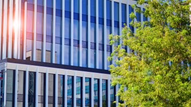 Taze yeşil ağaçlar ve ofis binası, iş konsepti. Modern şehir konseptinde yankı oluşturma. 