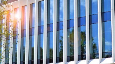 Taze yeşil ağaçlar ve ofis binası, iş konsepti. Modern şehir konseptinde yankı oluşturma. 