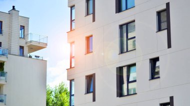 Çevre mimarisi. Yeşil ağaç ve apartman. Doğanın ve modernliğin ahengi.