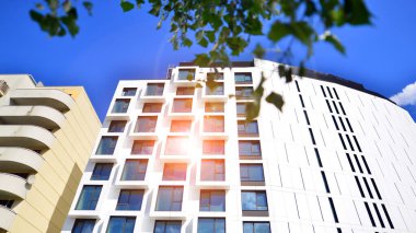 Çevre mimarisi. Yeşil ağaç ve apartman. Doğanın ve modernliğin ahengi.