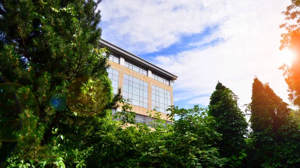 Modern Şehir Konseptinde Eko Binası Taze Yeşil Ağaçlar Ofis Binası — Stok fotoğraf