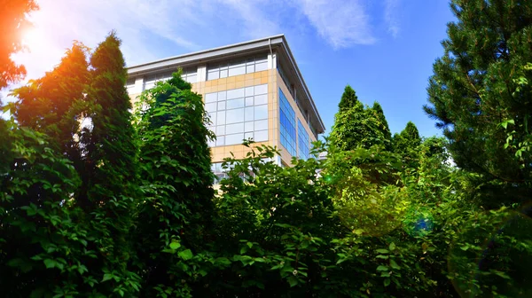 Eco Building Modern City Concept Fresh Green Trees Office Building — Stock Photo, Image