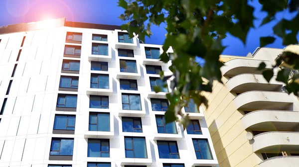 Eco architecture. Green tree and apartment building. The harmony of nature and modernity.