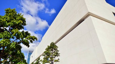 Mavi gökyüzüne karşı modern beyaz beton bina duvarları. Çevre mimarisi. Yeşil ağaçlar ve beton ofis binası. Doğanın ve modernliğin ahengi.