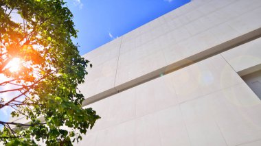 Mavi gökyüzüne karşı modern beyaz beton bina duvarları. Çevre mimarisi. Yeşil ağaçlar ve beton ofis binası. Doğanın ve modernliğin ahengi.