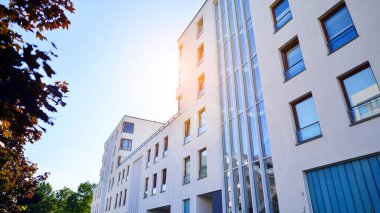 Modern apartman ve yeşil ağaçlar. Ekolojik konut mimarisi. Ağaçların çevresindeki modern bir yerleşim yeri. Kentte ekoloji ve yeşil yaşam, kentsel çevre kavramı. 