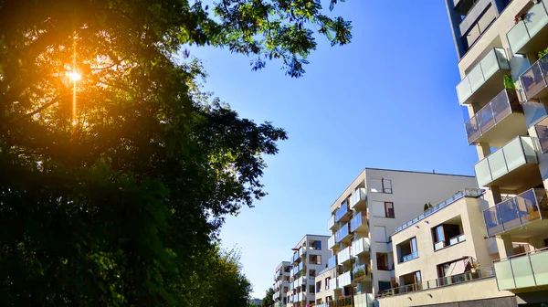 Modern apartman ve yeşil ağaçlar. Ekolojik konut mimarisi. Ağaçların çevresindeki modern bir yerleşim yeri. Ekoloji ve yeşil şehir, kentsel çevre 