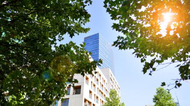 Modern apartman ve yeşil ağaçlar. Ekolojik konut mimarisi. Ağaçların çevresindeki modern bir yerleşim yeri. Ekoloji ve yeşil şehir, kentsel çevre 