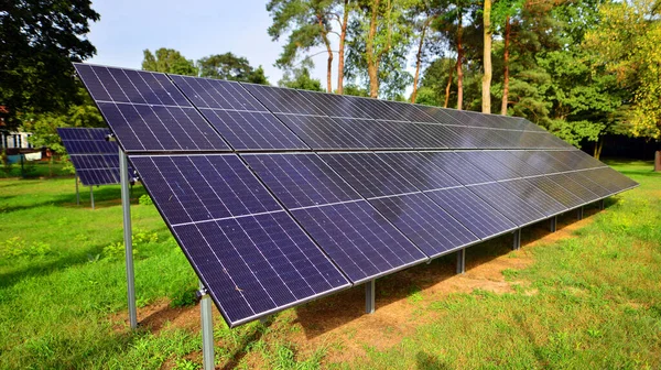 Geniş Yüzeyi Olan Güneş Panelleri Fotovoltaik Paneller Ağaçların Çalıların Arka — Stok fotoğraf