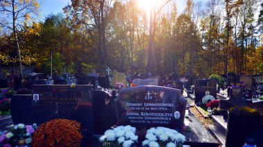 Varşova, Polonya. 1 Kasım 2023. Izbicka Caddesi, Warszawa Radosc 'taki kilise mezarlığı.