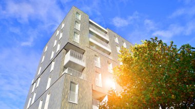 Modern yerleşim alanı. Yeni apartmanın yakınındaki ağaçlar. Doğa dostu lüks gayrimenkul.