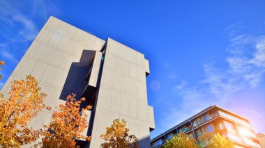 Modern yerleşim alanı. Yeni apartmanın yakınındaki ağaçlar. Doğa dostu lüks gayrimenkul.