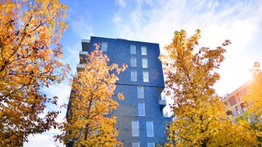 Modern yerleşim alanı. Yeni apartmanın yakınındaki ağaçlar. Doğa dostu lüks gayrimenkul.