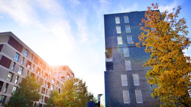 Modern yerleşim alanı. Yeni apartmanın yakınındaki ağaçlar. Doğa dostu lüks gayrimenkul.