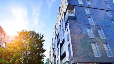 Modern yerleşim alanı. Yeni apartmanın yakınındaki ağaçlar. Doğa dostu lüks gayrimenkul.