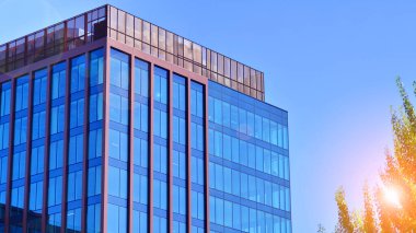Modern şehir konseptinde eko binası. Taze yeşil yapraklı modern ofis binası..