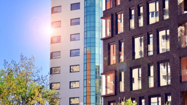 Çevre mimarisi. Yeşil ağaç ve yeni konut binası. Doğanın ve modernliğin ahengi. Yeşil yerleşim bölgesinde yeni daireleri olan modern bir apartman..