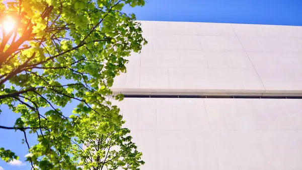 Mavi gökyüzüne karşı modern beyaz beton bina duvarları. Çevre mimarisi. Yeşil ağaçlar ve beton ofis binası. Doğanın ve modernliğin ahengi.