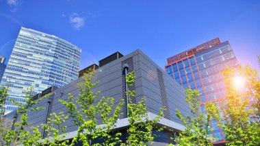 Modern şehir konseptinde eko binası. Taze yeşil yapraklı modern ofis binası..