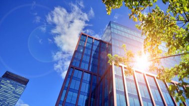 Modern şehir konseptinde eko binası. Taze yeşil yapraklı modern ofis binası..