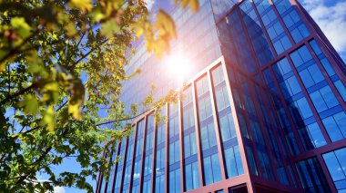 Modern şehir konseptinde eko binası. Taze yeşil yapraklı modern ofis binası..