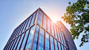 Modern şehir konseptinde eko binası. Taze yeşil yapraklı modern ofis binası..