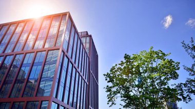 Modern şehir konseptinde eko binası. Taze yeşil yapraklı modern ofis binası..