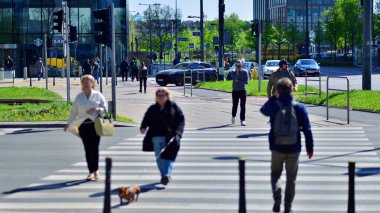 Varşova, Polonya. 11 Nisan 2024. Kalabalık kalabalık trafiğin en yoğun olduğu saatte trafik ışığı zebrasıyla karşıdan karşıya geçiyor. Europa 'da büyük bir şehirde yaşam tarzı.