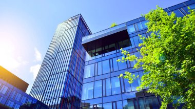 Karbondioksiti azaltmak için ağaçlı sürdürülebilir cam ofis binası. Modern şehirde çevre dostu bir bina. Yeşil çevresi olan bir ofis. Şirket binası CO2 'yi düşürdü.