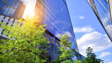 Karbondioksiti azaltmak için ağaçlı sürdürülebilir cam ofis binası. Modern şehirde çevre dostu bir bina. Yeşil çevresi olan bir ofis. Şirket binası CO2 'yi düşürdü.