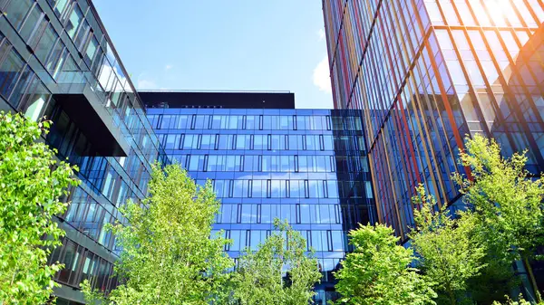 Karbondioksiti azaltmak için ağaçlı sürdürülebilir cam ofis binası. Modern şehirde çevre dostu bir bina. Yeşil çevresi olan bir ofis. Şirket binası CO2 'yi düşürdü.