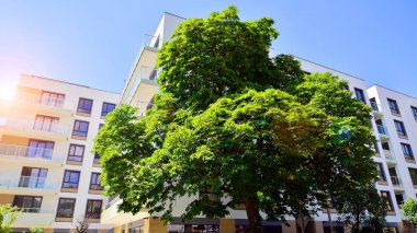 Avrupa 'daki yerleşim yerleri doğayla uyum içinde. Çevre dostu, yeşilliklerle dolu bir şehirde yaşıyor. Eko apartman binası enerji tasarrufu ve temiz hava kavramı. 