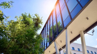Karbondioksiti azaltmak için ağaçlı sürdürülebilir cam ofis binası. Modern şehirde çevre dostu bir bina. Yeşil çevresi olan bir ofis. Şirket binası CO2 'yi düşürdü.