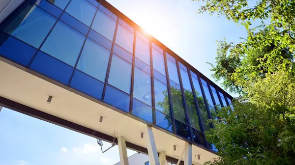 Karbondioksiti azaltmak için ağaçlı sürdürülebilir cam ofis binası. Modern şehirde çevre dostu bir bina. Yeşil çevresi olan bir ofis. Şirket binası CO2 'yi düşürdü.