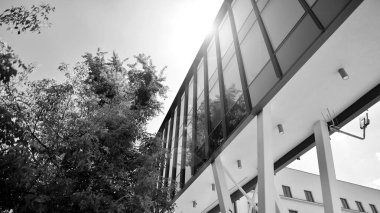 Karbondioksiti azaltmak için ağaçlı sürdürülebilir cam ofis binası. Modern şehirde çevre dostu bir bina. Yeşil çevresi olan bir ofis. Şirket binası karbondioksiti azaltır. Siyah ve beyaz.