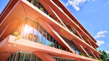 Çevre mimarisi. Yeşil ağaç ve cam ofis binası. Doğanın ve modernliğin ahengi. Modern ticari binanın yansıması güneş ışığıyla cam üzerine.. 