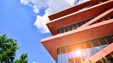 Çevre mimarisi. Yeşil ağaç ve cam ofis binası. Doğanın ve modernliğin ahengi. Modern ticari binanın yansıması güneş ışığıyla cam üzerine.. 