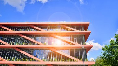 Çevre mimarisi. Yeşil ağaç ve cam ofis binası. Doğanın ve modernliğin ahengi. Modern ticari binanın yansıması güneş ışığıyla cam üzerine.. 