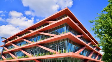 Çevre mimarisi. Yeşil ağaç ve cam ofis binası. Doğanın ve modernliğin ahengi. Modern ticari binanın yansıması güneş ışığıyla cam üzerine.. 