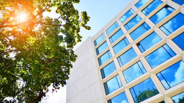 Çevre mimarisi. Yeşil ağaç ve cam ofis binası. Doğanın ve modernliğin ahengi. Modern ticari binanın yansıması güneş ışığıyla cam üzerine.. 