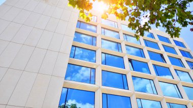 Çevre mimarisi. Yeşil ağaç ve cam ofis binası. Doğanın ve modernliğin ahengi. Modern ticari binanın yansıması güneş ışığıyla cam üzerine.. 