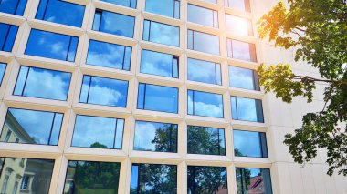 Çevre mimarisi. Yeşil ağaç ve cam ofis binası. Doğanın ve modernliğin ahengi. Modern ticari binanın yansıması güneş ışığıyla cam üzerine.. 