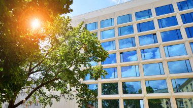 Çevre mimarisi. Yeşil ağaç ve cam ofis binası. Doğanın ve modernliğin ahengi. Modern ticari binanın yansıması güneş ışığıyla cam üzerine.. 