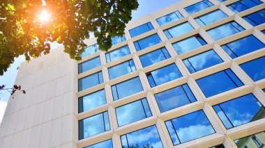 Çevre mimarisi. Yeşil ağaç ve cam ofis binası. Doğanın ve modernliğin ahengi. Modern ticari binanın yansıması güneş ışığıyla cam üzerine.. 