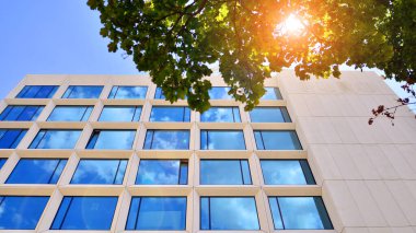 Çevre mimarisi. Yeşil ağaç ve cam ofis binası. Doğanın ve modernliğin ahengi. Modern ticari binanın yansıması güneş ışığıyla cam üzerine.. 